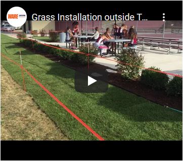 Grass Installation outside Tennis Court