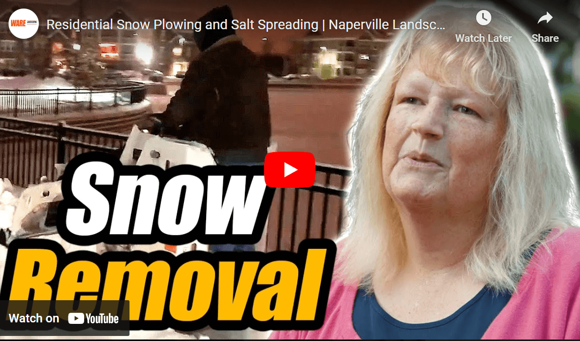 Naperville Residential Snow Removal Testimonial